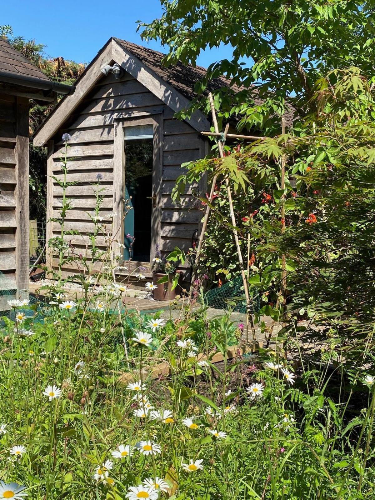 The Tool Shed Nestled In Idyllic Countryside Linchmere Exterior foto