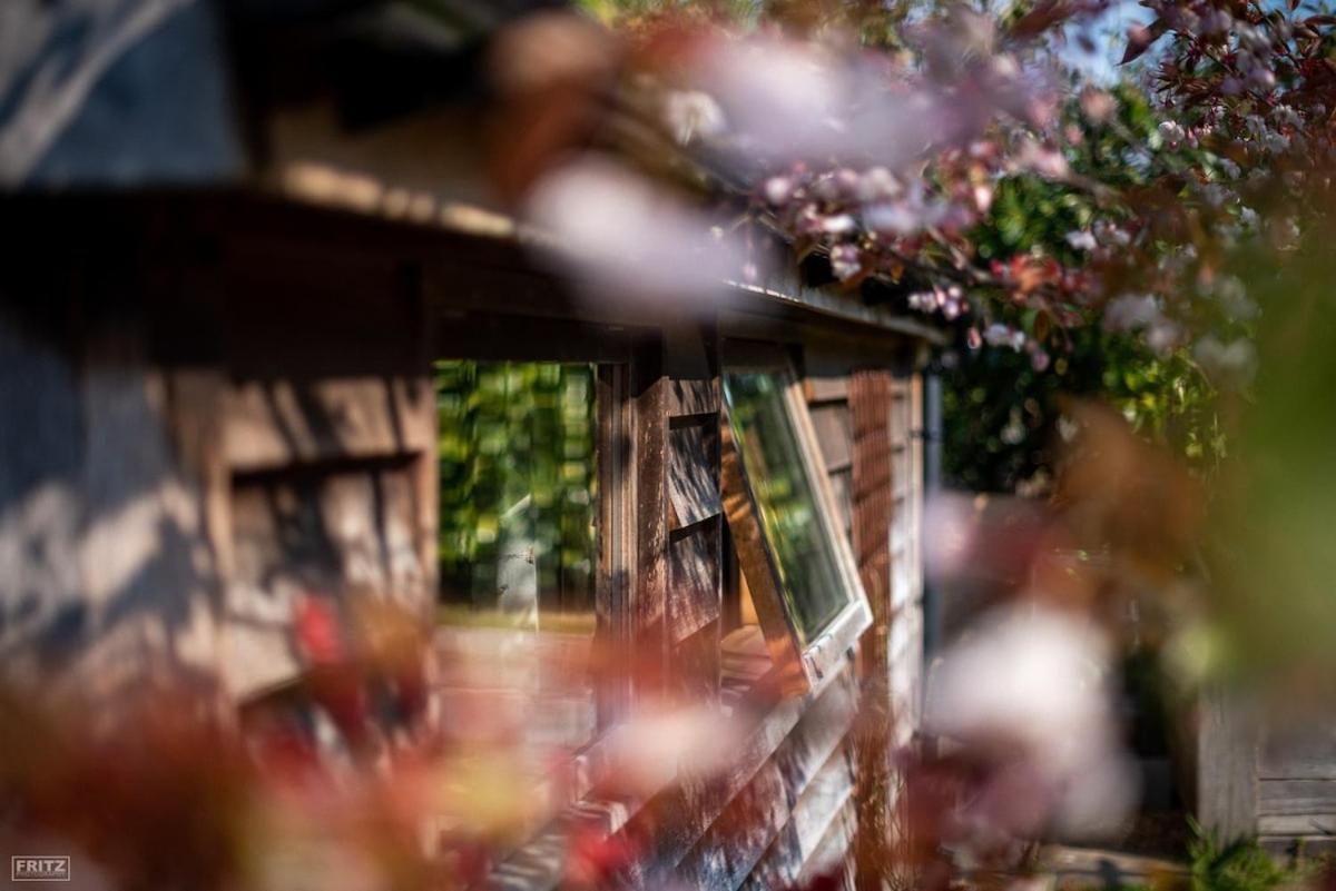 The Tool Shed Nestled In Idyllic Countryside Linchmere Exterior foto