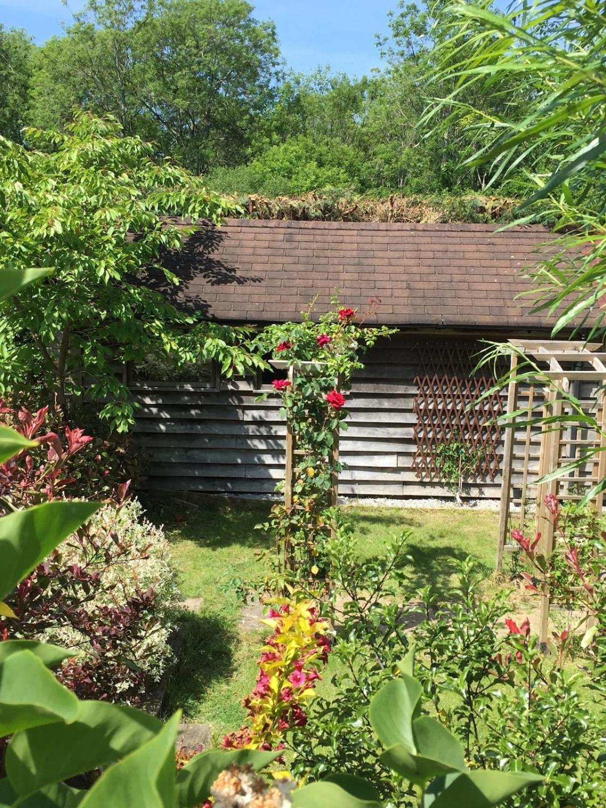 The Tool Shed Nestled In Idyllic Countryside Linchmere Exterior foto