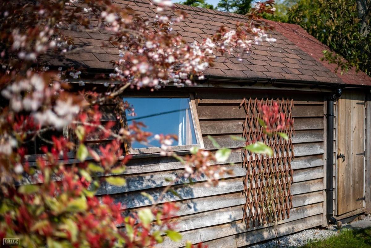 The Tool Shed Nestled In Idyllic Countryside Linchmere Exterior foto
