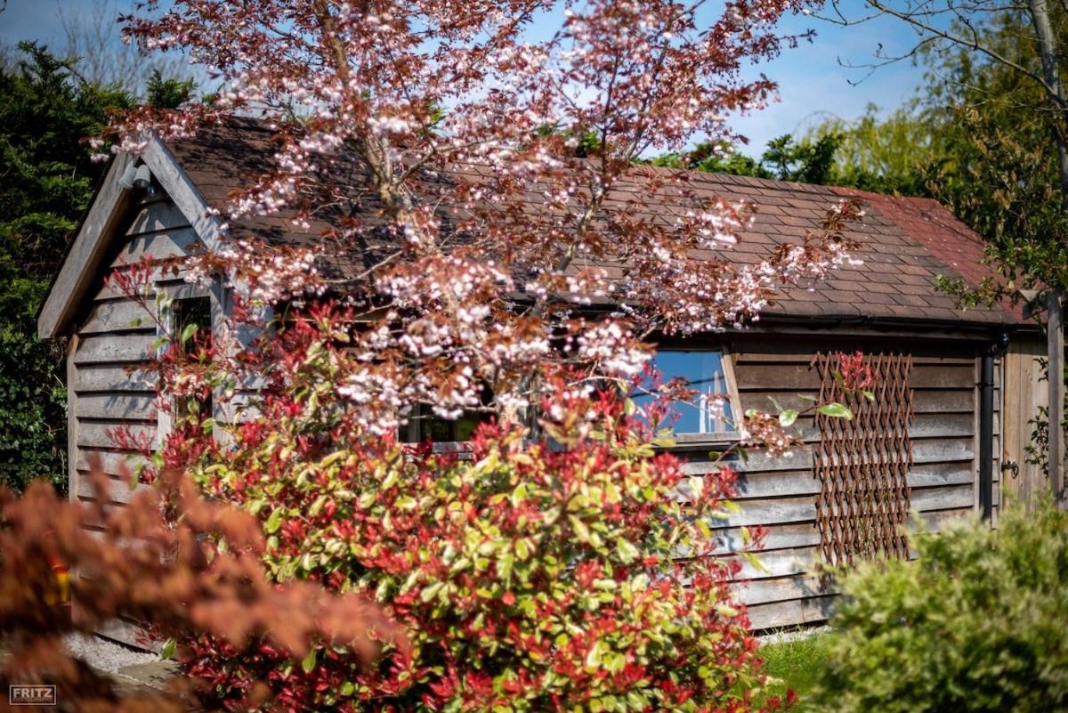 The Tool Shed Nestled In Idyllic Countryside Linchmere Exterior foto