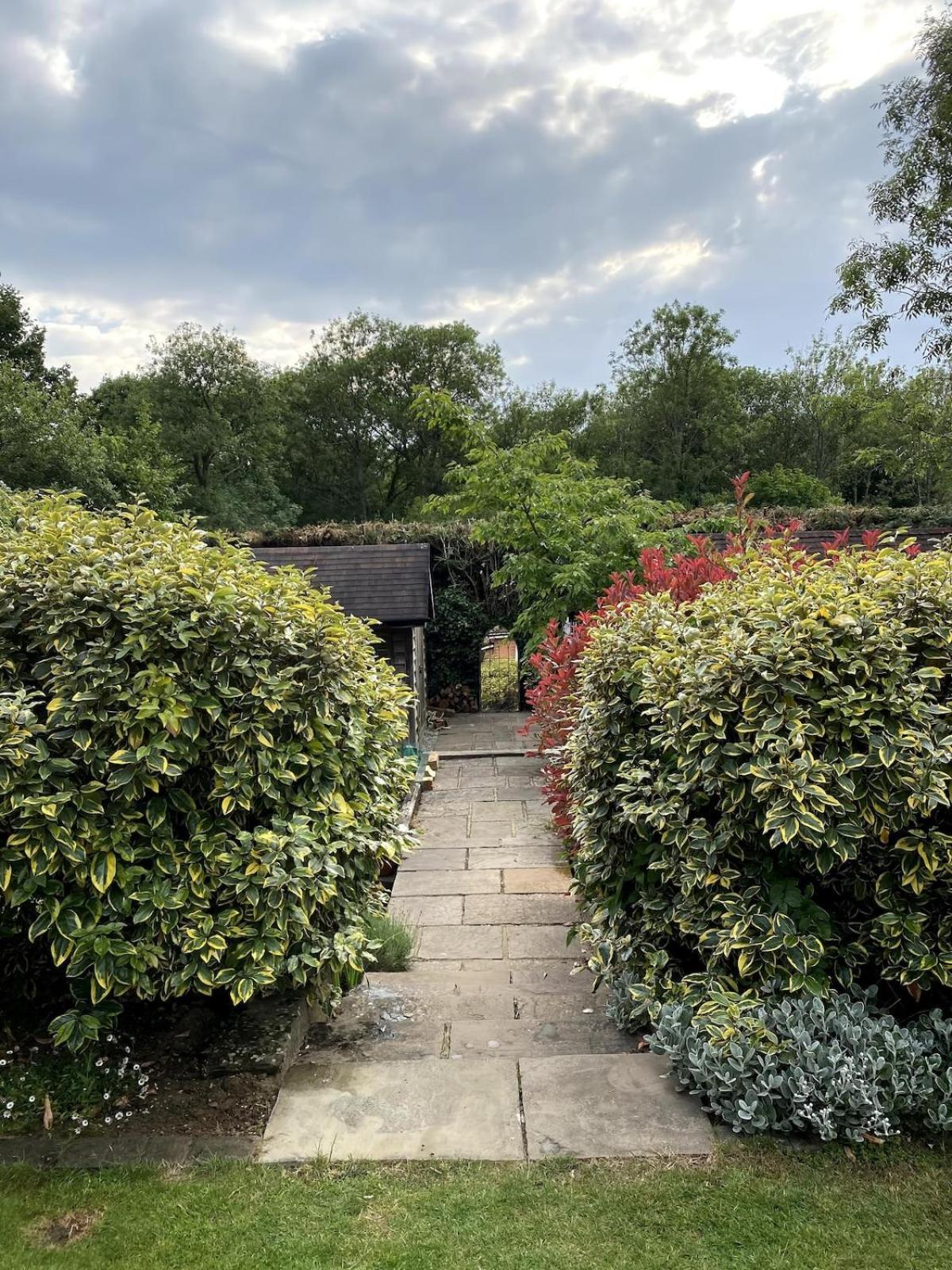 The Tool Shed Nestled In Idyllic Countryside Linchmere Exterior foto
